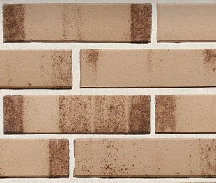 Фасадная плитка керамическая для НФС, 250*65*20, Эрфурт Вюсте FS+BS