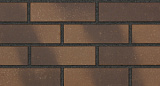 Фасадная плитка, плитка стеновая клинкерная Декор ЛСР, Клио